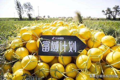 抖音安安吃瓜,揭秘网红幕后故事