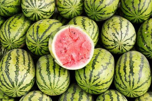 会吃瓜的,会吃瓜的幕后故事