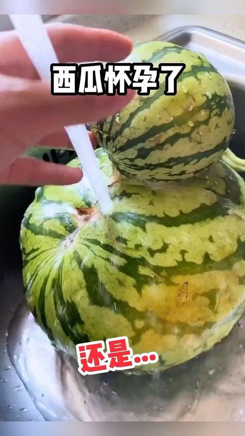 吃瓜配音搞笑视频,吃瓜配音搞笑视频，带你领略欢乐无限