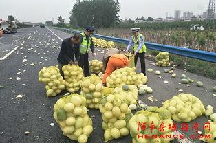 萧县吃瓜群众视频,揭秘当地独特民俗风情