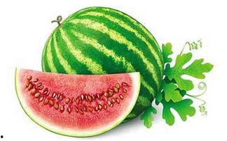 冬天吃瓜的视频,冬季吃瓜新风尚