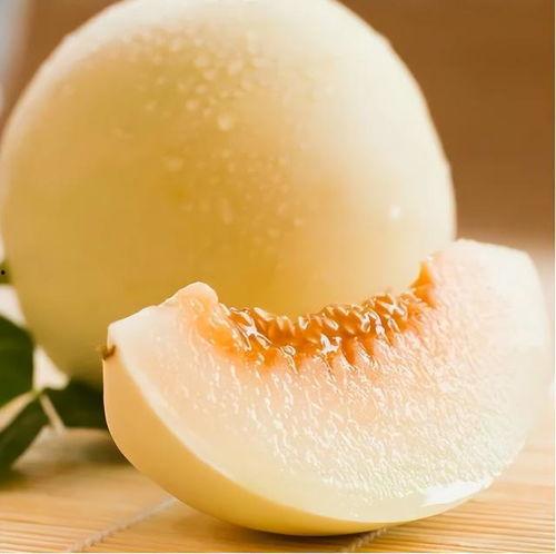 淘特吃瓜密码,探寻网购乐趣背后的秘密