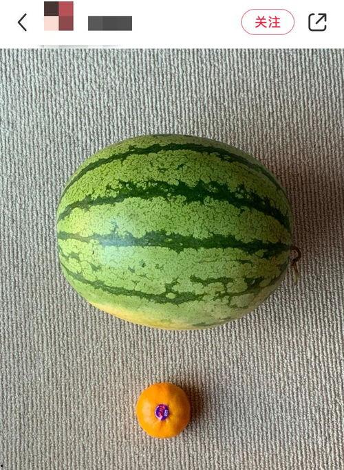 少点吃瓜,理性看待网络舆论