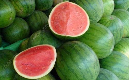 丰收瓜咳嗽可以吃吗,适宜咳嗽患者食用吗?