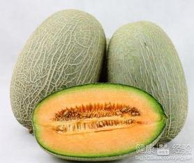 蝌蚪吃哈密瓜,探索蝌蚪吃哈密瓜的奇妙之旅