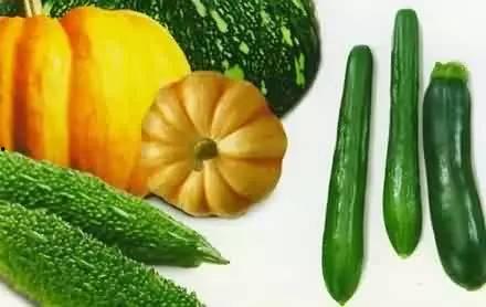 煮吃瓜有哪些春,品味时光的甘甜