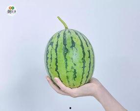 吃瓜测评,揭秘网红美食背后的真相