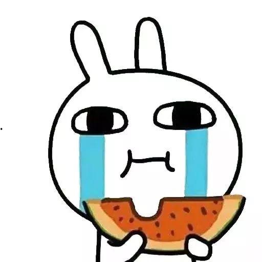 吃瓜的经历,一场舌尖上的冒险之旅