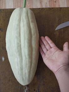 吃大份的瓜,揭秘娱乐圈的甜蜜与苦涩