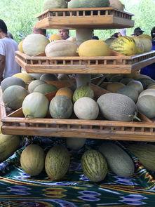 新疆超重吃的瓜,超重美味，尽享甜蜜诱惑