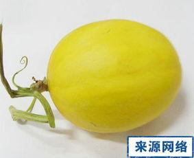 孕妇吃瓜补什么,补充营养的秘密