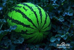 噗噗吃瓜,揭秘娱乐圈那些不为人知的幕后故事