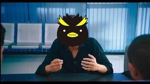 企鹅现场吃瓜,围观动物界的趣味瞬间