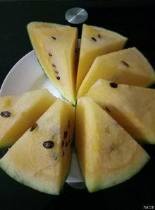 北京吃瓜网站,揭秘北京热门吃瓜话题