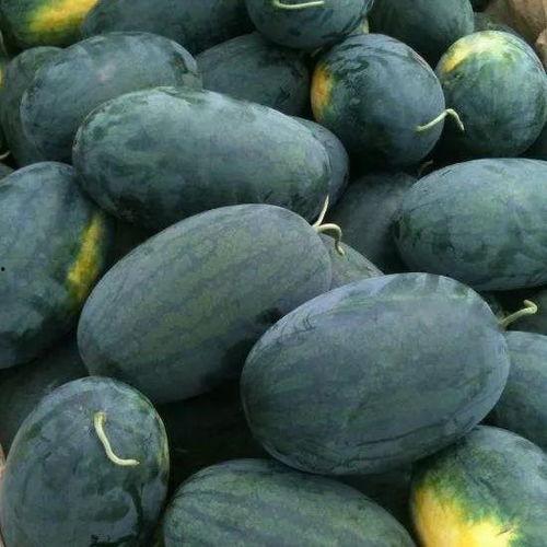 吃瓜蒙主争议切片,揭秘网络舆论背后的真相