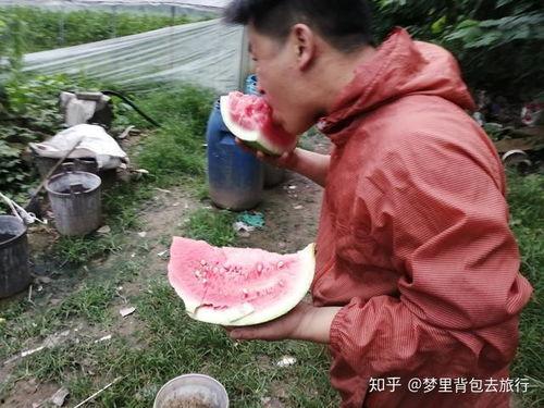 摆地摊吃瓜技巧,轻松赚钱的趣味攻略